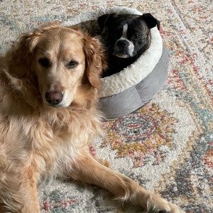 Meet your Posher, Kathryn